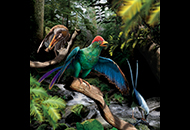CUHK palaeontologist uncovers the diverse diets of birds during the era of dinosaurs
