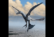 CUHK and Dakota State University palaeontologists reveal “flap running” widely distributed in pre-avian dinosaurs through fossil trackway research