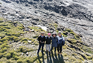 CUHK joint study with University of Illinois reveals how vegetation recovers after sudden permafrost collapse