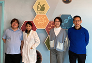 CUHK Scientists Develop Novel Peptide Inhibitor as a Potential Treatment for Parkinson’s Disease