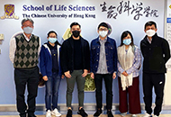 CUHK reveals the storage mechanism of seed proteins paving the way to develop plant-based vaccine technology