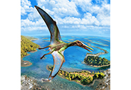 CUHK suggests that pterosaurs took off from water 150 million years ago like ducks do