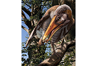 CUHK palaeontologist investigates the diet of prehistoric birds to reconstruct past and present ecosystems