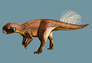 CUHK palaeontologist first to reveal a dinosaur belly button using laser imaging