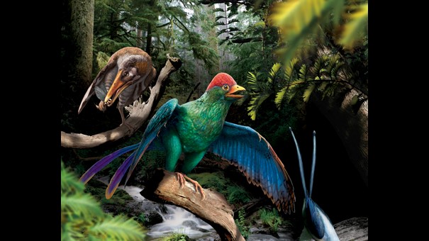 Prof. Michael PITTMAN and International Team Uncover Diverse Diets of Extinct Birds