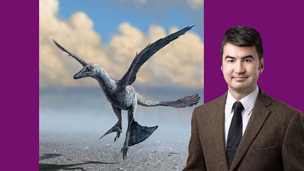 CUHK and Dakota State University Jointly Uncover “Flap Running” in Pre-avian Dinosaurs