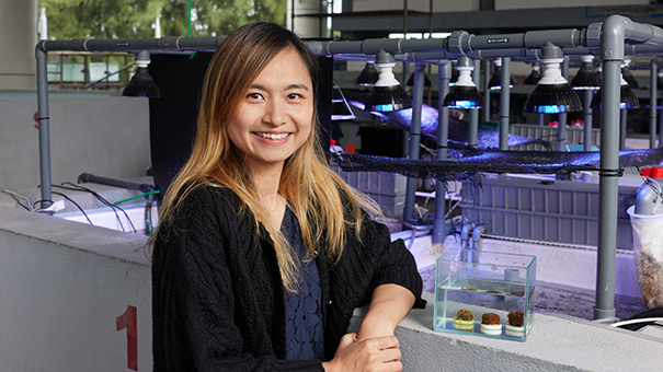 Breaking the Wall, Bridging Science & Society – Prof. Apple CHUI Awarded Falling Walls  Science Breakthroughs Award